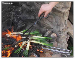 barbacoa calçot