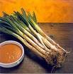 Calçots