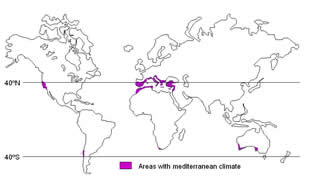 clima mediterraneo