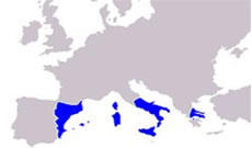 mapa de la corona de aragon S.XV